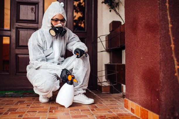 Reliable Cockroach Control contractor in Estelle, LA by Nex Pest Control