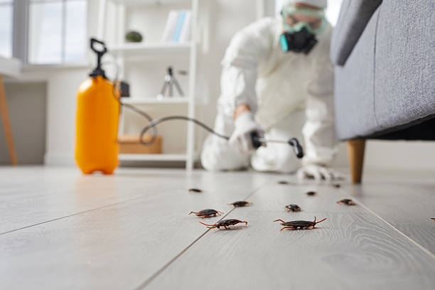 Affordable Cockroach Control solutions in Estelle, LA